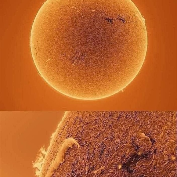 Meet your Posher, Jason - Picture 6 of 16